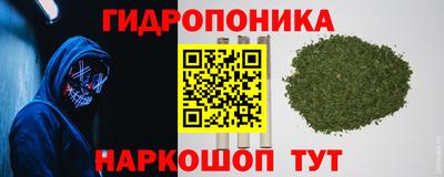 молекула духа Боровичи
