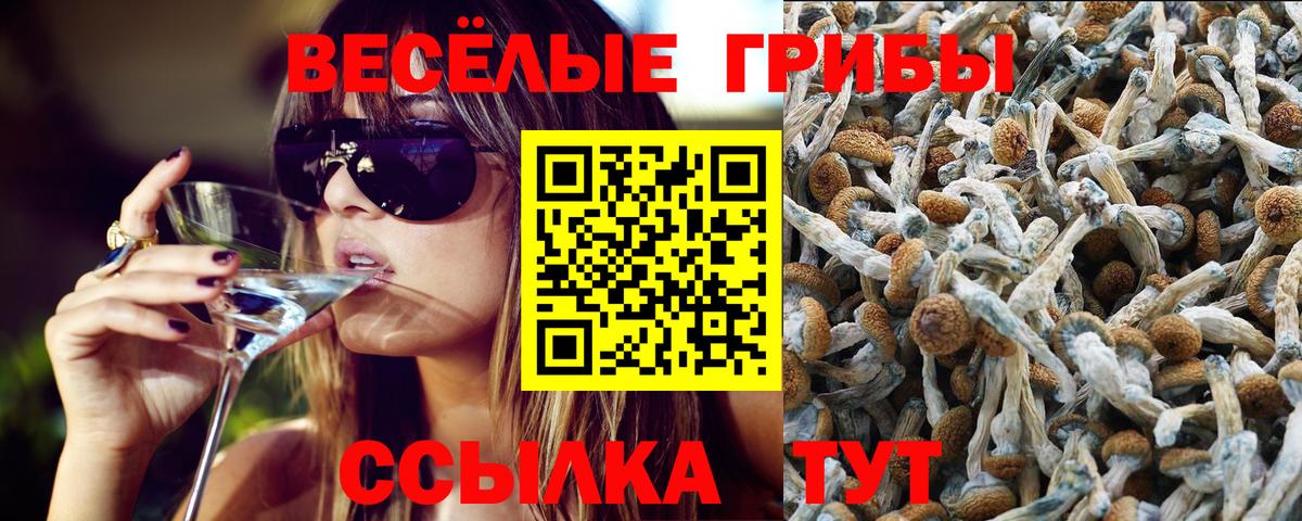 Галлюциногенные грибы Psilocybine cubensis  Галлюциногенные грибы Magic Shrooms  Александров  Вход с VPN 